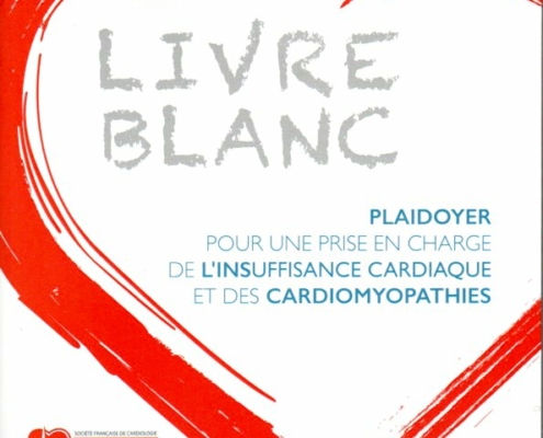 Livre Blanc du GICC & Association SIC
